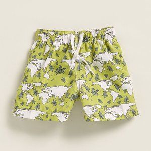 Azul Turtle World Boys Swim Trunks
